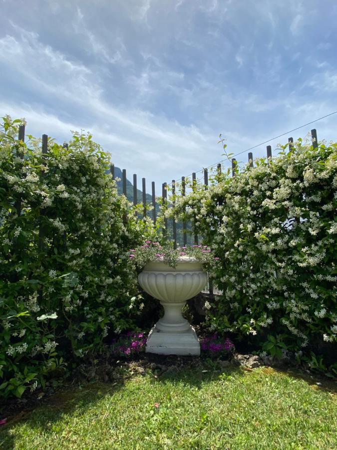Maison Morandi Spinone Al Lago Bagian luar foto